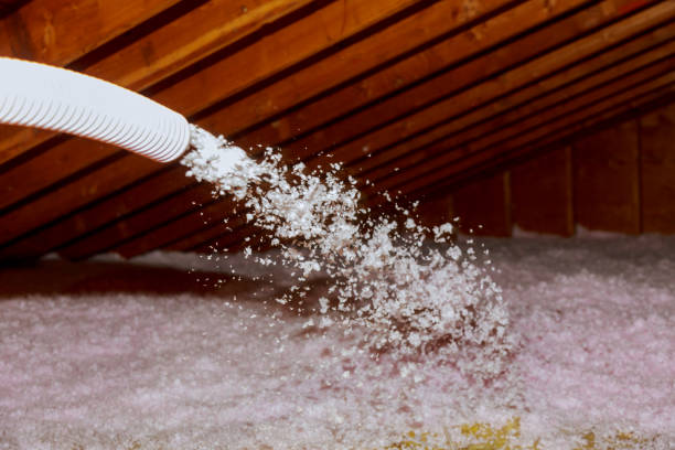 Professional Insulation Contractor in Daleville, VA