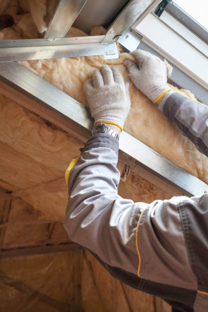 Best Cellulose Insulation in Daleville, VA