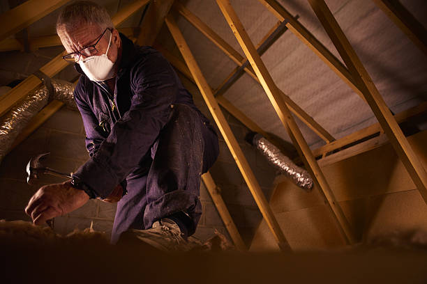 Best Insulation for Specific Applications in Daleville, VA